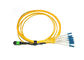 Padrão amarelo de Telcordia dos núcleos do cabo de remendo 8 da fibra ótica do Mtp-Sc de Mpo da fuga fornecedor